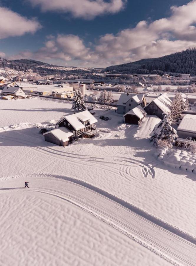 Casa D'Antino Apartman Titisee-Neustadt Kültér fotó